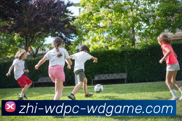 问鼎娱乐服务体系