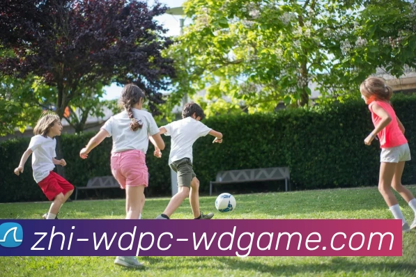 多媒体互动体验