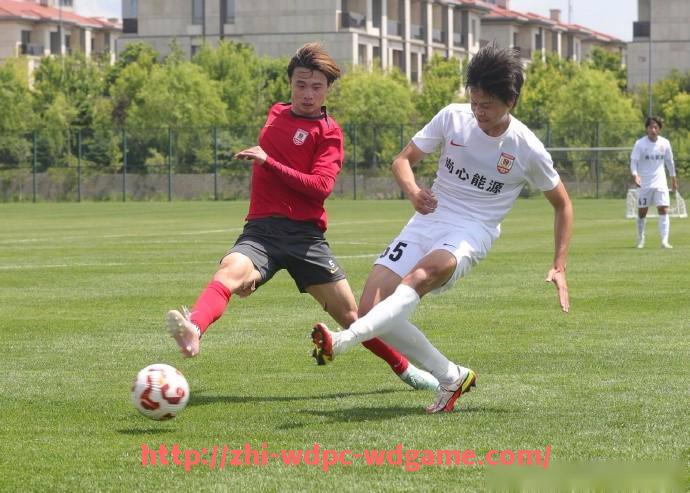 问鼎娱乐官方网站-世俱杯引发球员国籍归属争议案例及法律探讨